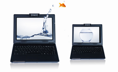 Software Development (Windows&nbsp;Apps)